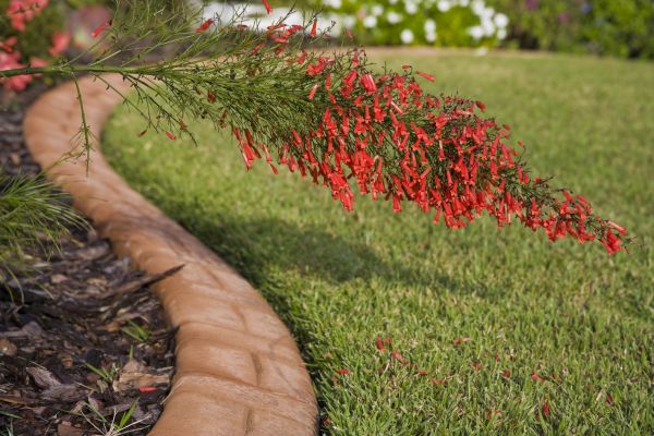 Brick Edging in Leesburg