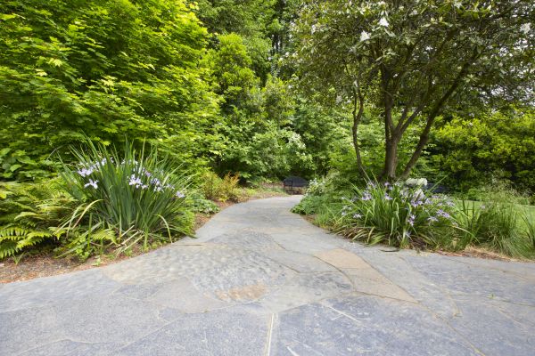 Stone Hardscape Service in Leesburg