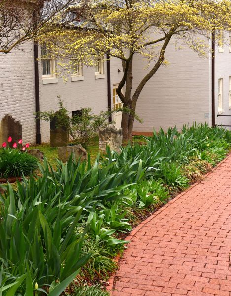 Brick Flatwork Repair in Leesburg